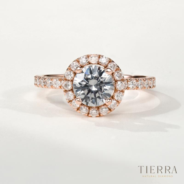 Nhẫn nữ kim cương Halo tròn đai tấm NCH2201